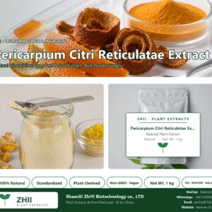 Pericarpium Citri Reticulatae Extract natural Citrus extract powder - ZHII ShaanXi ZhiYi Biotechnology supplier