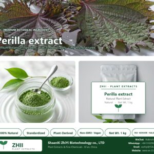 Perilla extract natural botanical extract powder - ZHII ShaanXi ZhiYi Biotechnology supplier
