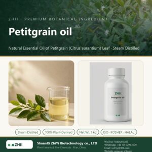 Petitgrain oil liquid extract in laboratory beaker - ZHII Plant Extracts by ShaanXi ZhiYi Biotechnology