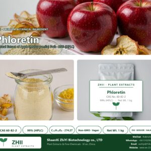Phloretin CAS 60-82-2 natural plant extract from Apple - ZHII ShaanXi ZhiYi Biotechnology supplier