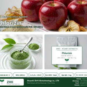 Phlorizin CAS 60-81-1 natural plant extract from Apple - ZHII ShaanXi ZhiYi Biotechnology supplier