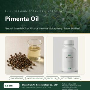 Pimenta Oil liquid extract in laboratory beaker - ZHII Plant Extracts by ShaanXi ZhiYi Biotechnology