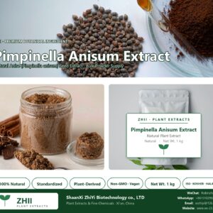Pimpinella Anisum Extract natural Anise extract powder - ZHII ShaanXi ZhiYi Biotechnology supplier