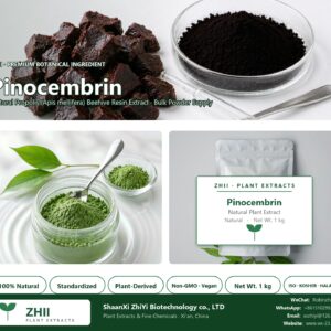 Pinocembrin natural Propolis extract powder - ZHII ShaanXi ZhiYi Biotechnology supplier