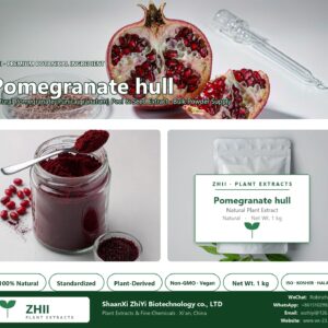 Pomegranate hull natural Pomegranate extract powder - ZHII ShaanXi ZhiYi Biotechnology supplier