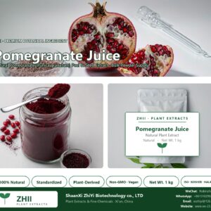 Pomegranate Juice Powder natural Pomegranate extract powder - ZHII ShaanXi ZhiYi Biotechnology supplier