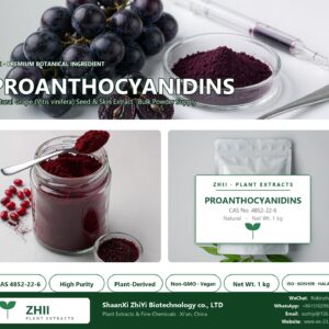 PROANTHOCYANIDINS CAS 4852-22-6 natural plant extract from Grape - ZHII ShaanXi ZhiYi Biotechnology supplier