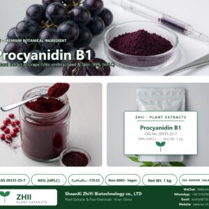 Procyanidin B1 CAS 20315-25-7 natural plant extract from Grape - ZHII ShaanXi ZhiYi Biotechnology supplier