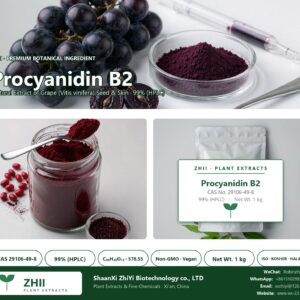 Procyanidin B2 CAS 29106-49-8 natural plant extract from Grape - ZHII ShaanXi ZhiYi Biotechnology supplier