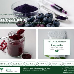 Procyanidin natural Bilberry extract powder - ZHII ShaanXi ZhiYi Biotechnology supplier