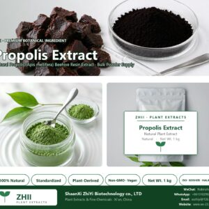 Propolis Extract natural Propolis extract powder - ZHII ShaanXi ZhiYi Biotechnology supplier