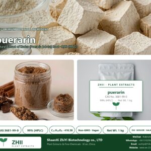 puerarin CAS 3681-99-0 natural plant extract from Kudzu - ZHII ShaanXi ZhiYi Biotechnology supplier