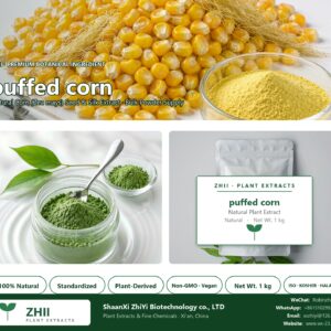 puffed corn powder natural Corn extract powder - ZHII ShaanXi ZhiYi Biotechnology supplier
