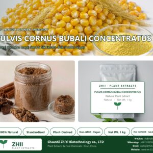 PULVIS CORNUS BUBALI CONCENTRATUS natural Corn extract powder - ZHII ShaanXi ZhiYi Biotechnology supplier