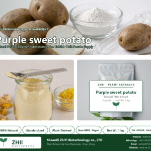 Purple sweet potato powder natural Potato extract powder - ZHII ShaanXi ZhiYi Biotechnology supplier