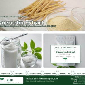 Quercetin Extract CAS 117-39-5 natural plant extract from Sophora / Ku Shen - ZHII ShaanXi ZhiYi Biotechnology supplier