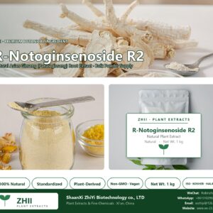 R-Notoginsenoside R2 natural Asian Ginseng extract powder - ZHII ShaanXi ZhiYi Biotechnology supplier