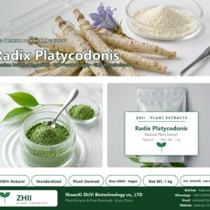 Radix Platycodonis natural botanical extract powder - ZHII ShaanXi ZhiYi Biotechnology supplier