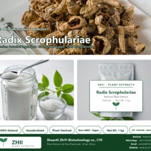 Radix Scrophulariae natural botanical extract powder - ZHII ShaanXi ZhiYi Biotechnology supplier