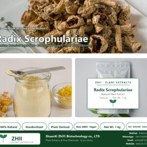 Radix Scrophulariae natural botanical extract powder - ZHII ShaanXi ZhiYi Biotechnology supplier