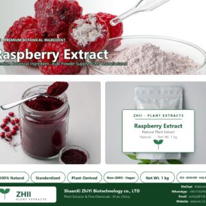 Raspberry Extract natural botanical extract powder - ZHII ShaanXi ZhiYi Biotechnology supplier