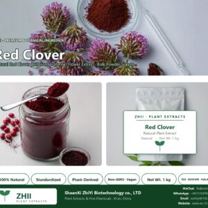 Red Clover natural Red Clover extract powder - ZHII ShaanXi ZhiYi Biotechnology supplier