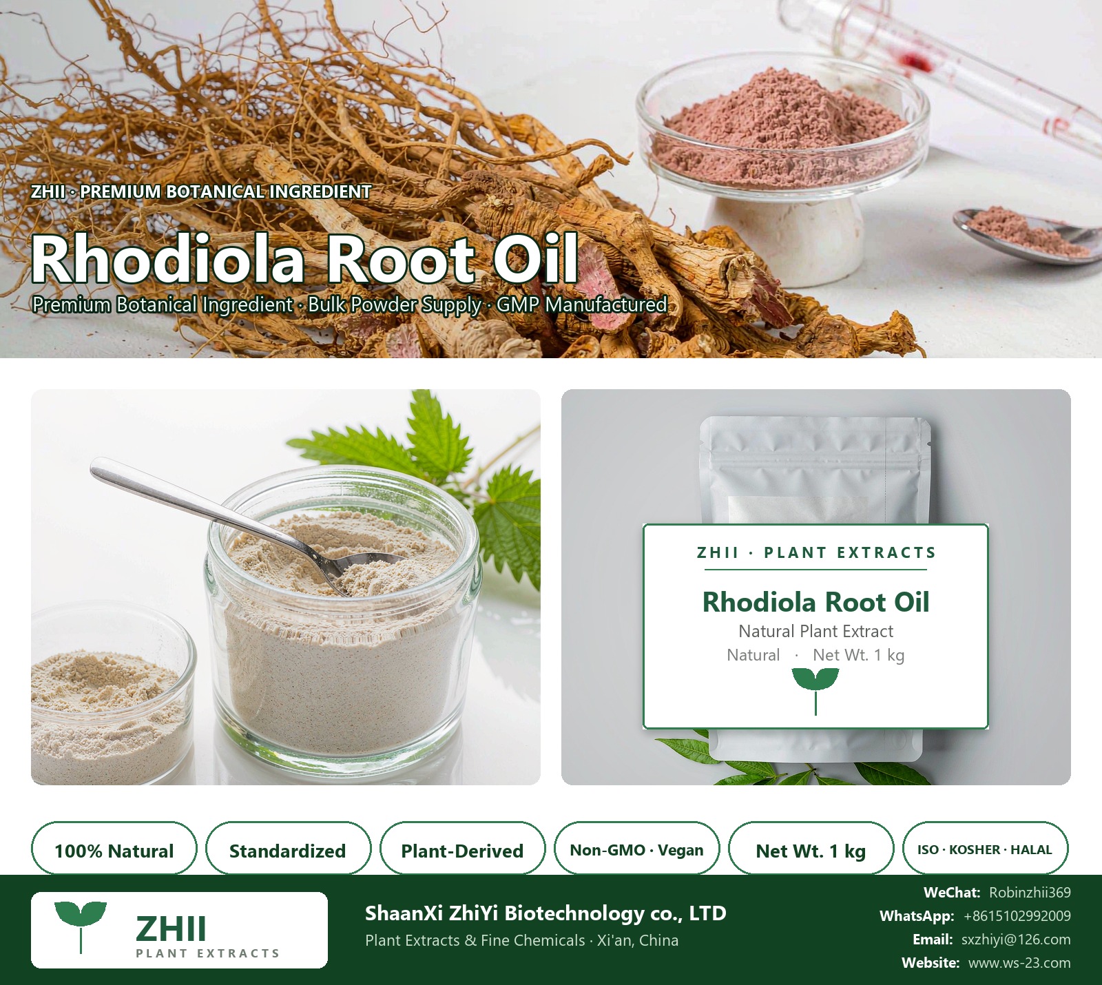 Rhodiola Root Oil natural botanical extract powder - ZHII ShaanXi ZhiYi Biotechnology supplier