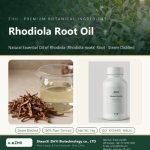 Rhodiola Root Oil liquid extract in laboratory beaker - ZHII Plant Extracts by ShaanXi ZhiYi Biotechnology