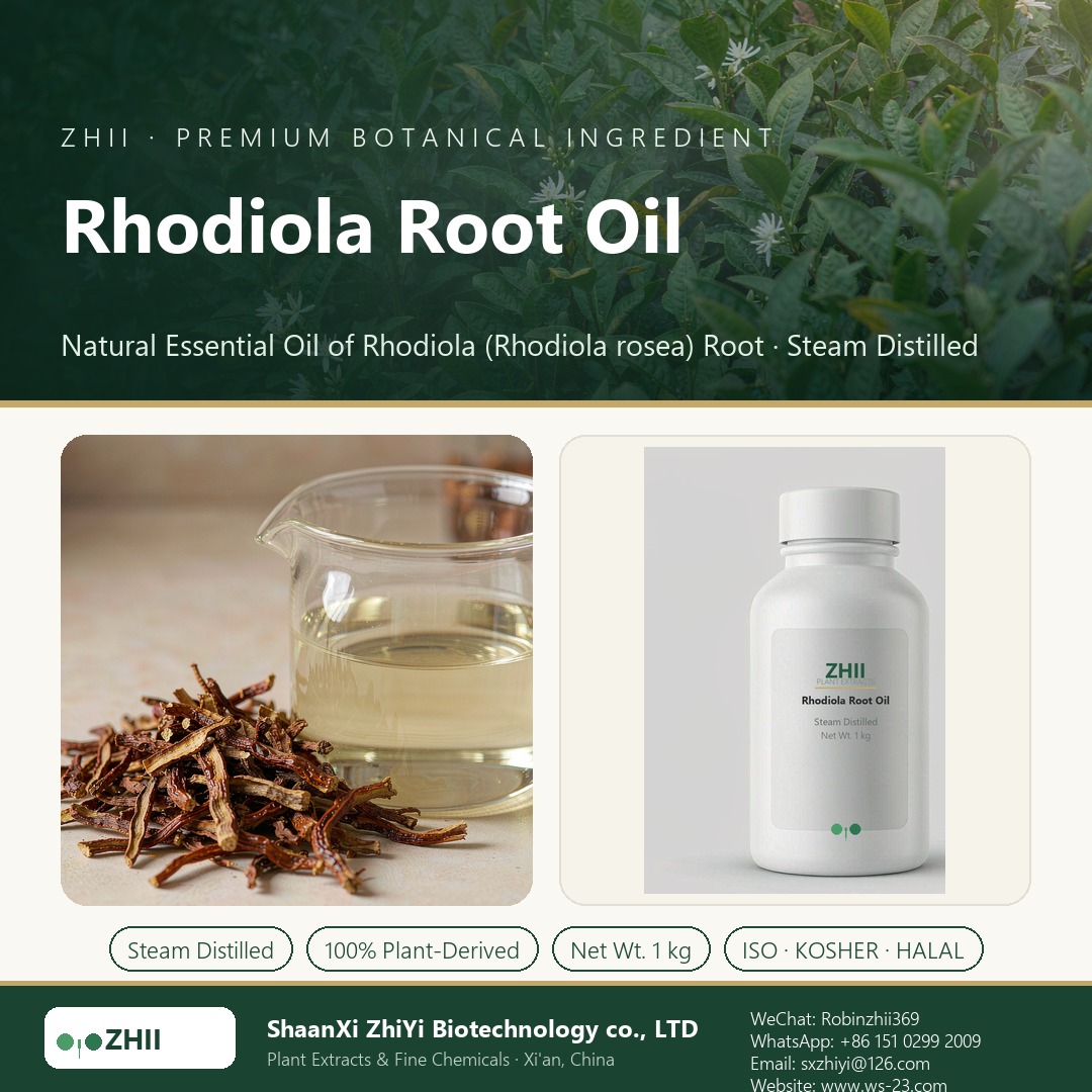 Rhodiola Root Oil liquid extract in laboratory beaker - ZHII Plant Extracts by ShaanXi ZhiYi Biotechnology