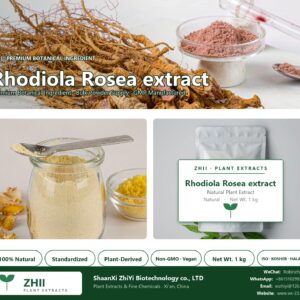 Rhodiola Rosea extract natural botanical extract powder - ZHII ShaanXi ZhiYi Biotechnology supplier