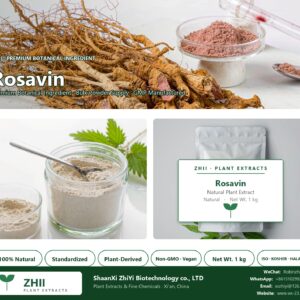 Rosavin natural botanical extract powder - ZHII ShaanXi ZhiYi Biotechnology supplier