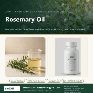 Rosemary Oil liquid extract in laboratory beaker - ZHII Plant Extracts by ShaanXi ZhiYi Biotechnology