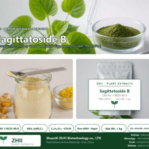 Sagittatoside B CAS 118525-40-9 natural plant extract from Horny Goat Weed - ZHII ShaanXi ZhiYi Biotechnology supplier