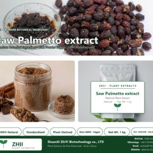 Saw Palmetto extract natural botanical extract powder - ZHII ShaanXi ZhiYi Biotechnology supplier