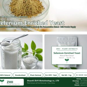 Selenium Enriched Yeast natural Fermentation Product extract powder - ZHII ShaanXi ZhiYi Biotechnology supplier