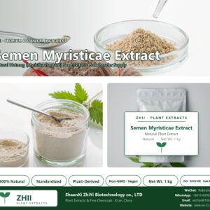 Semen Myristicae Extract/Nutmeg Extract natural Nutmeg extract powder - ZHII ShaanXi ZhiYi Biotechnology supplier
