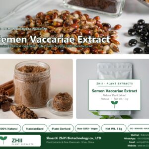 Semen Vaccariae Extract natural botanical extract powder - ZHII ShaanXi ZhiYi Biotechnology supplier