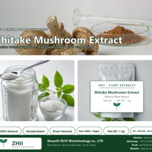 Shitake Mushroom Extract natural botanical extract powder - ZHII ShaanXi ZhiYi Biotechnology supplier