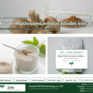 Shitake MushroomLentinus Edodes extract natural botanical extract powder - ZHII ShaanXi ZhiYi Biotechnology supplier