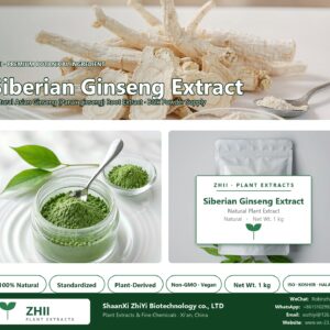 Siberian Ginseng Extract/(ginsenoside Rg1) natural Asian Ginseng extract powder - ZHII ShaanXi ZhiYi Biotechnology supplier