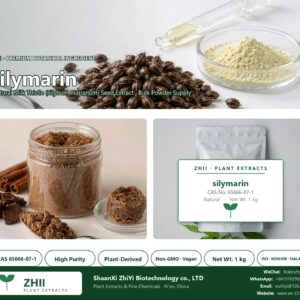 silymarin CAS 65666-07-1 natural plant extract from Milk Thistle - ZHII ShaanXi ZhiYi Biotechnology supplier