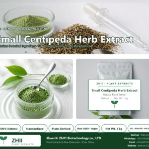 Small Centipeda Herb Extract natural botanical extract powder - ZHII ShaanXi ZhiYi Biotechnology supplier
