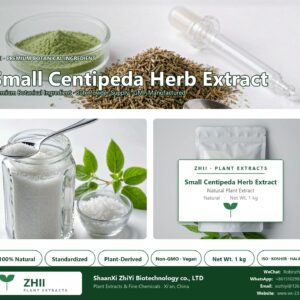 Small Centipeda Herb Extract natural botanical extract powder - ZHII ShaanXi ZhiYi Biotechnology supplier