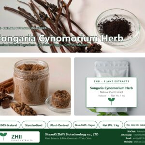 Songaria Cynomorium Herb natural botanical extract powder - ZHII ShaanXi ZhiYi Biotechnology supplier