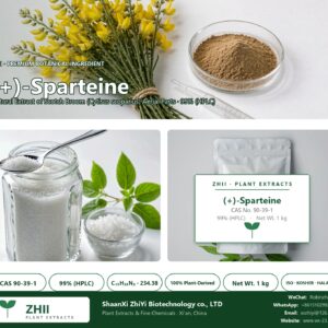 (+)-Sparteine CAS 90-39-1 natural plant extract from Cytisus scoparius - ZHII ShaanXi ZhiYi Biotechnology supplier
