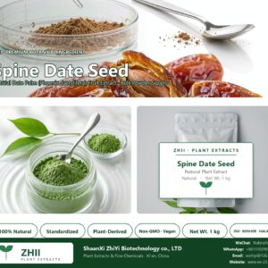 Spine Date Seed natural Date Palm extract powder - ZHII ShaanXi ZhiYi Biotechnology supplier