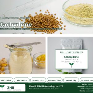 Stachydrine CAS 471-87-4 natural plant extract from Fenugreek - ZHII ShaanXi ZhiYi Biotechnology supplier