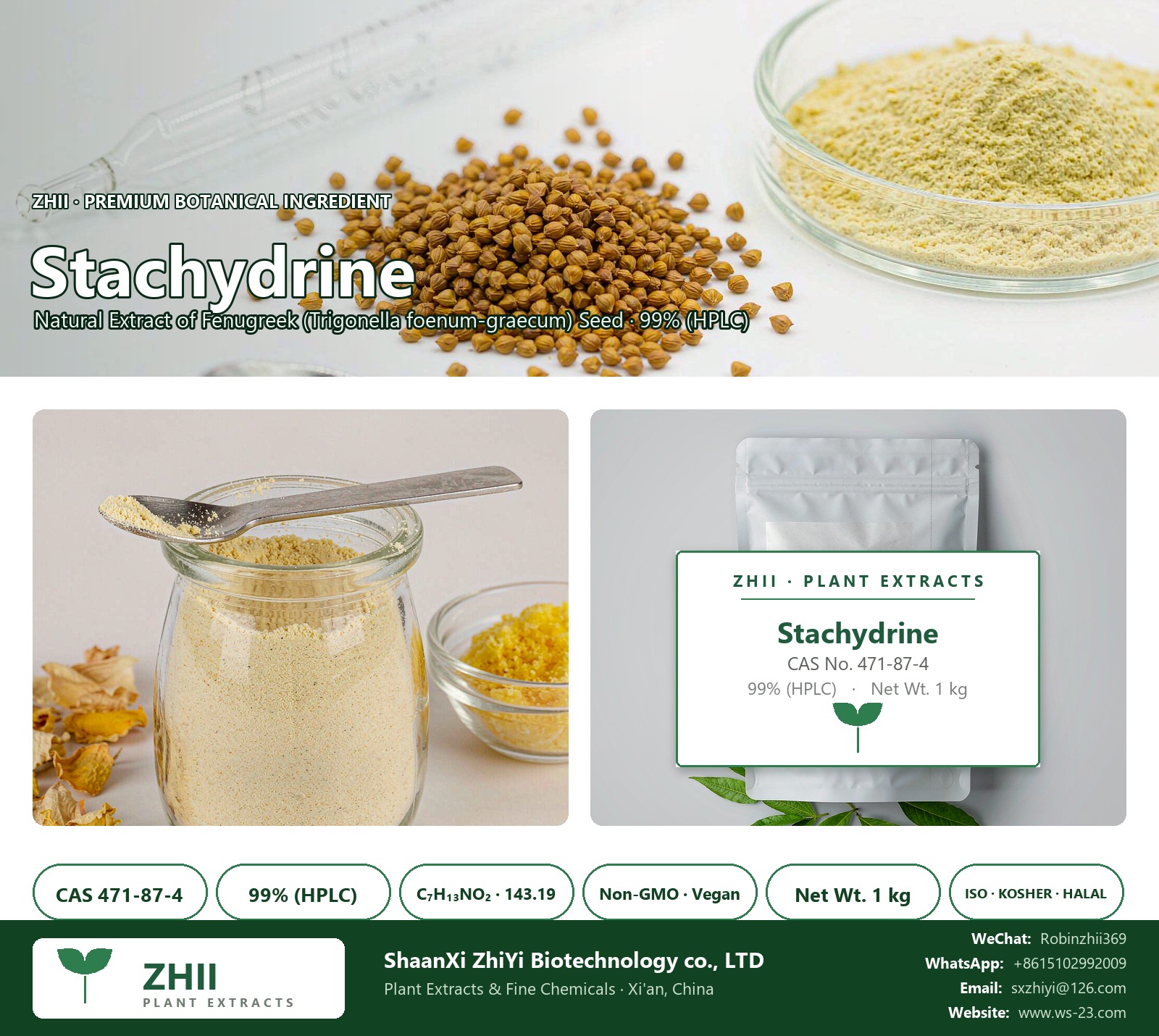 Stachydrine CAS 471-87-4 natural plant extract from Fenugreek - ZHII ShaanXi ZhiYi Biotechnology supplier