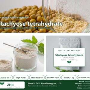 Stachyose tetrahydrate CAS 470-55-3 natural plant extract from Soybean - ZHII ShaanXi ZhiYi Biotechnology supplier