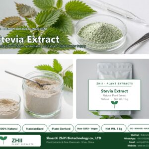Stevia Extract natural Stevia extract powder - ZHII ShaanXi ZhiYi Biotechnology supplier